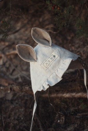 apple tree  squirrel BONNET(ASH generation)wavy×neutral