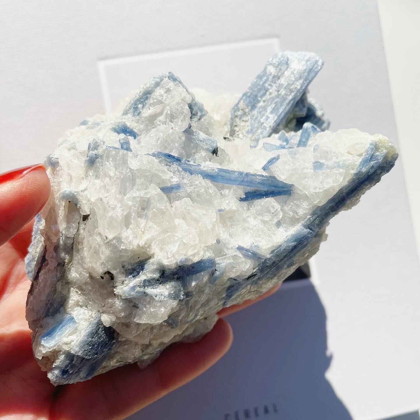 Kyanite in Quartz 2