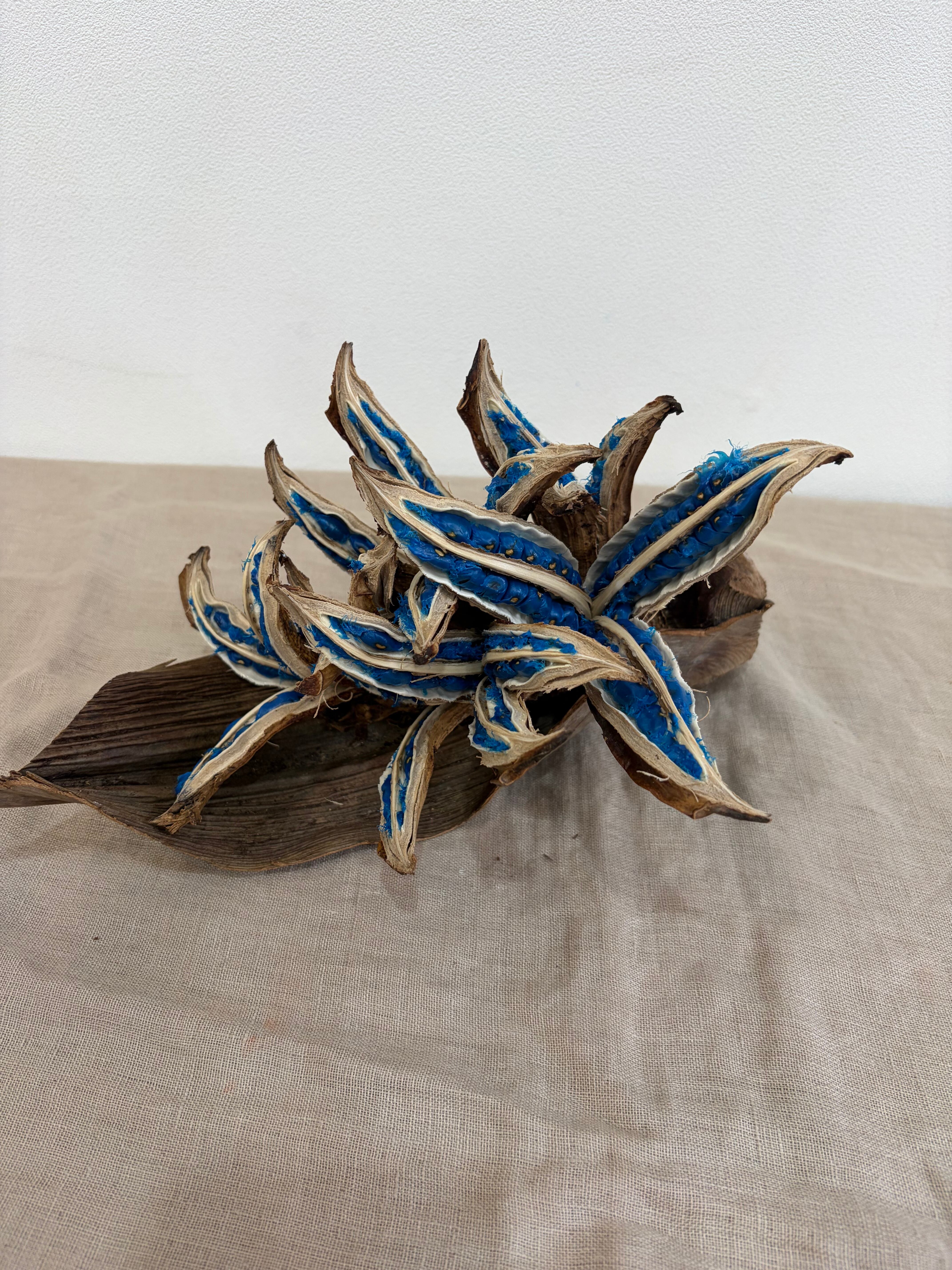 MADE in Nature 1shigaki
