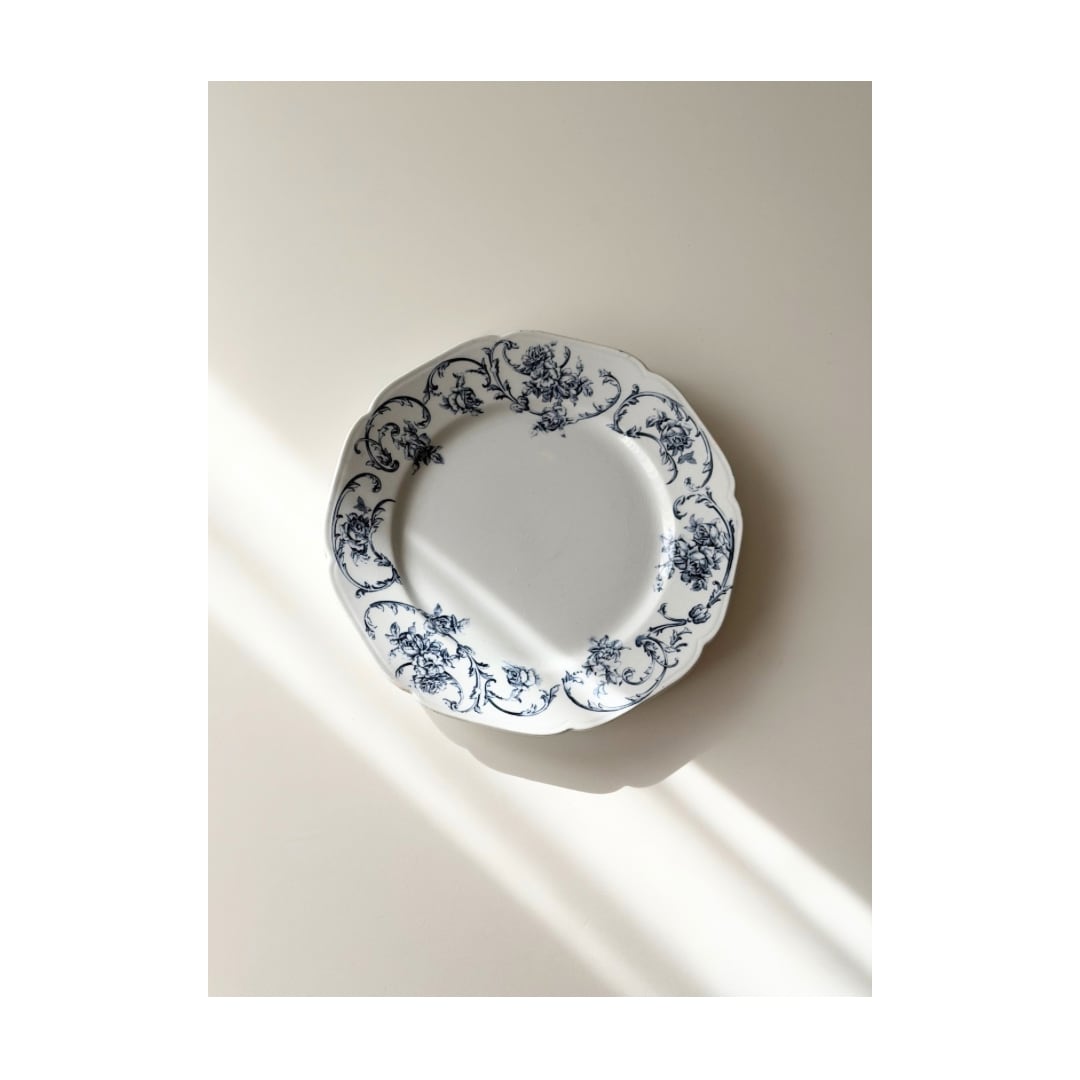 Petrus Regout / “ORTUS” 美しい薔薇とロカイユ柄の平皿プレート e