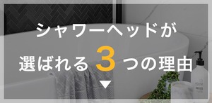 シャワーヘッド 節水 塩素除去 水圧調節 浄水 止めボタン 手元スイッチ 角度調整 水量3段調節 アダプター付き 毛穴汚れ 頭皮ケア 洗顔 清潔 ギフト プレゼント おすすめ シルバー