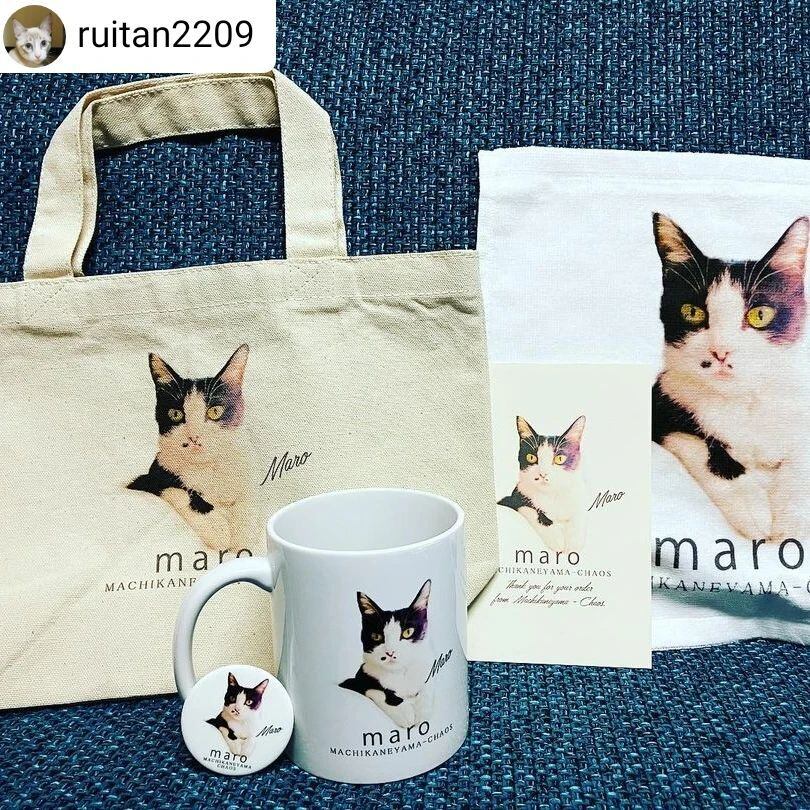 うちの子ハンドタオル ペット写真/犬/猫/うちの子グッズ/猫グッズ/犬