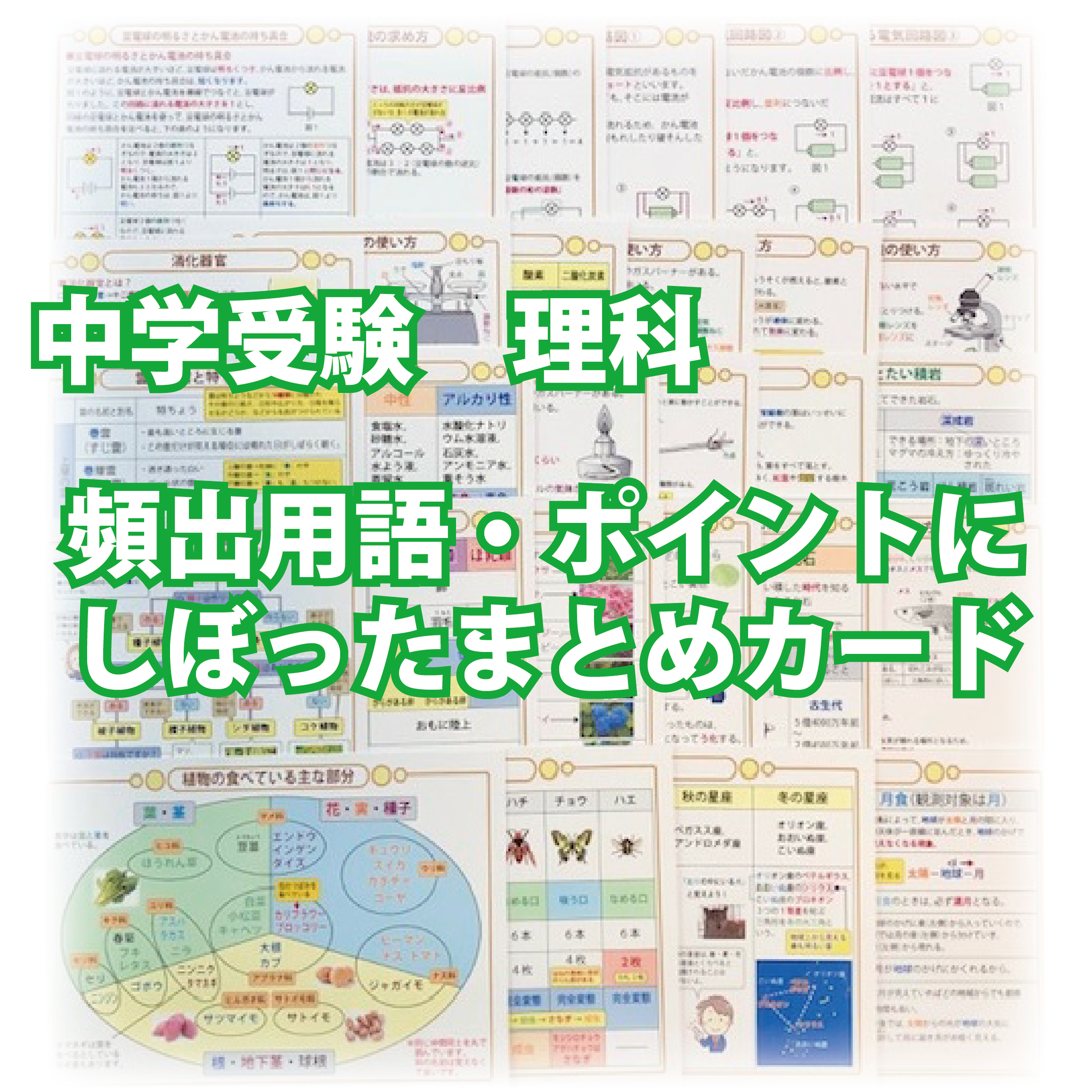 中学受験 理科 頻出用語 ポイントにしぼったまとめカード 自宅でできる受験対策ショップ ワカルー Wakaru