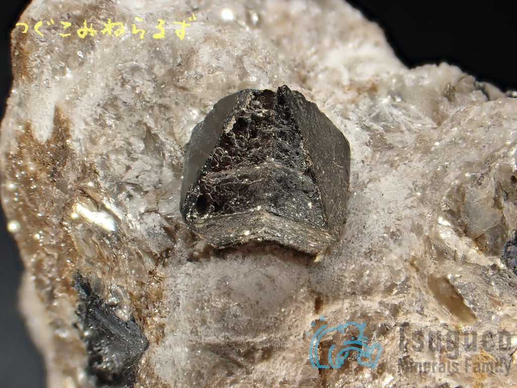 キャシテライト 錫石 Cassiterite スペイン TM-0023