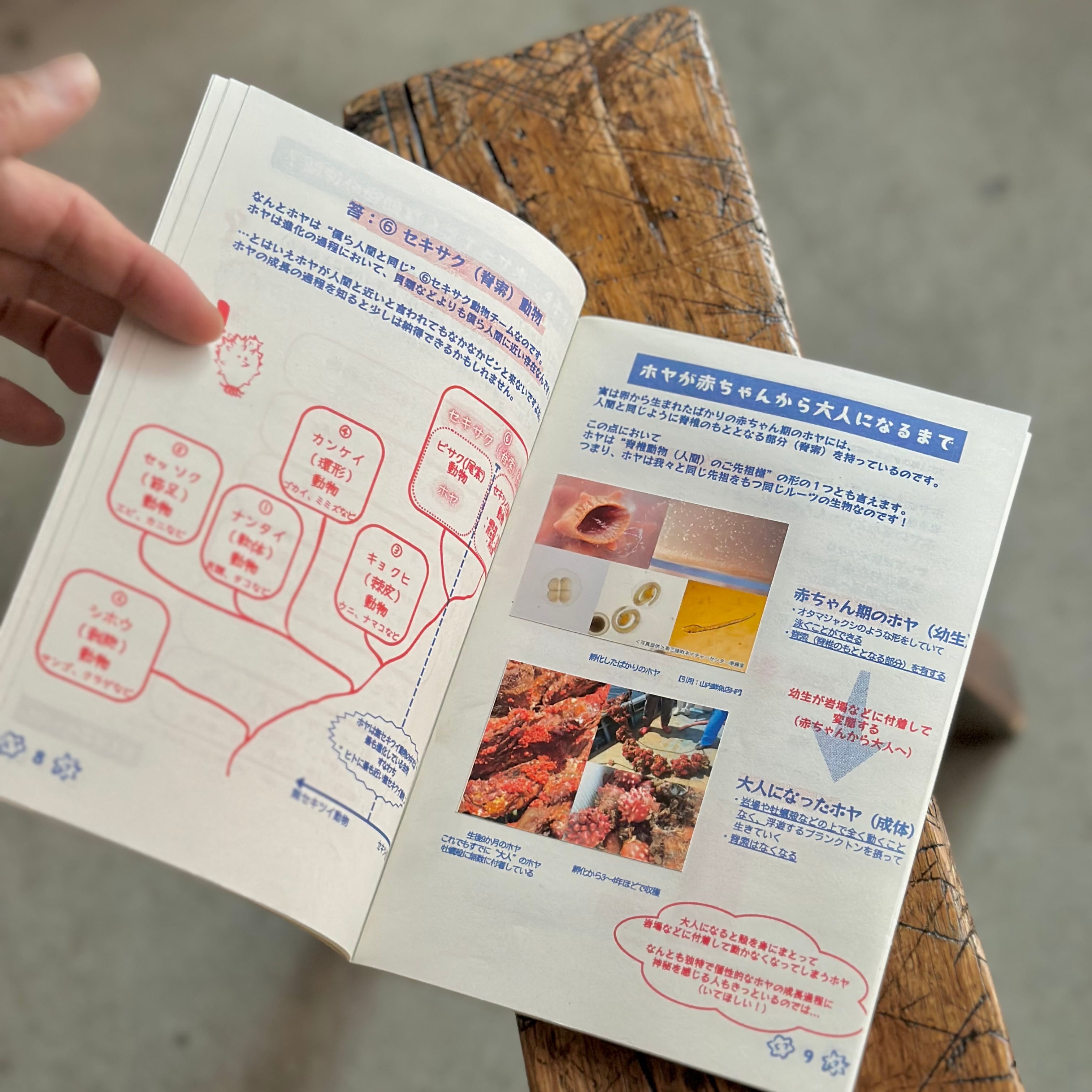 ホヤZINE Vol.1 | Space Utility TOKYO