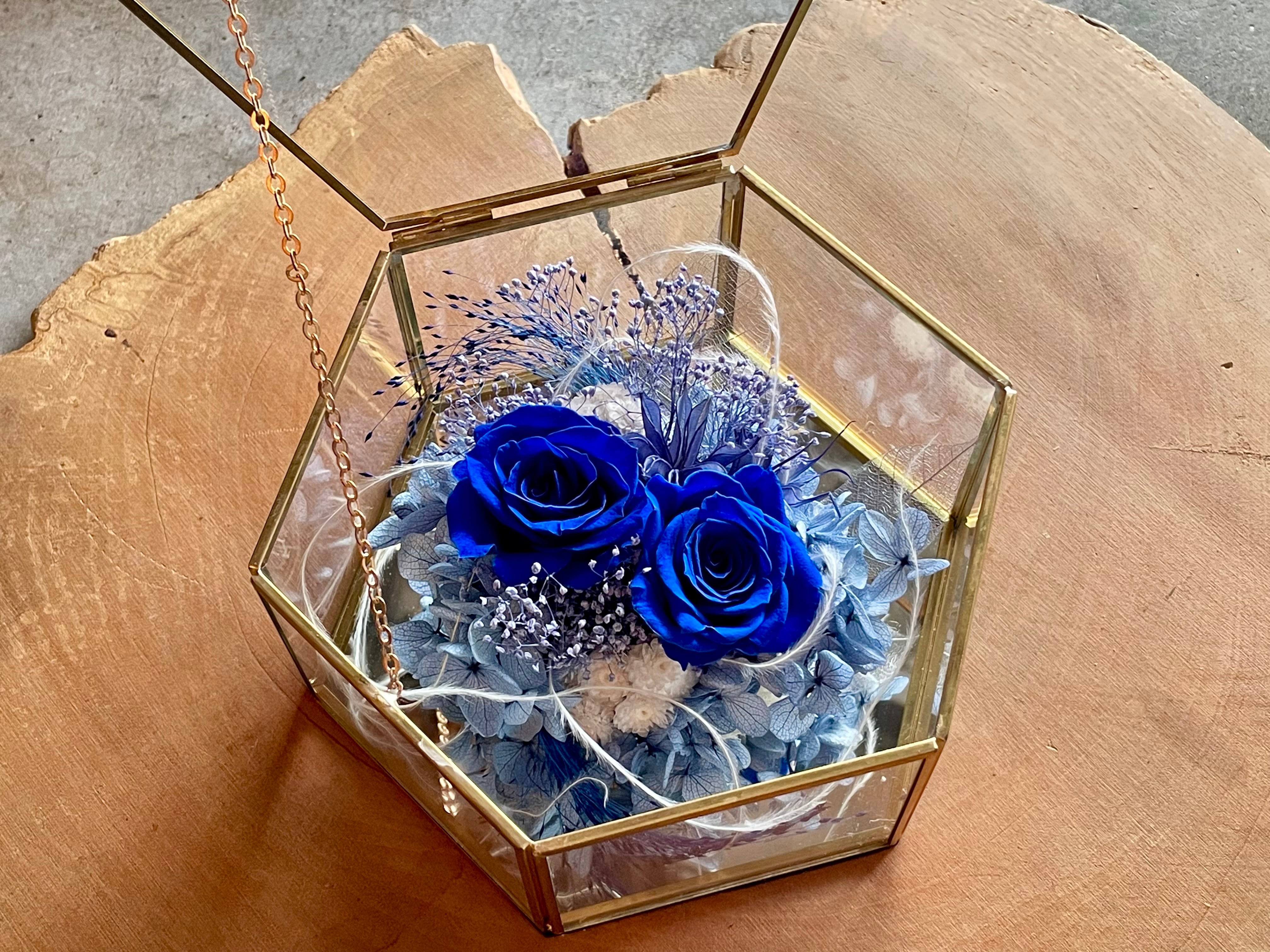 Azure Jewel Blue【アジュールジュエルブルー】