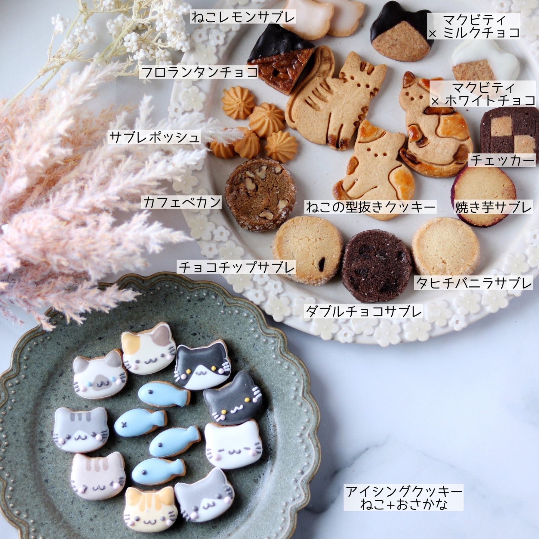 ねこまみれクッキーBOX【抽選】 | もりのおかしやさん