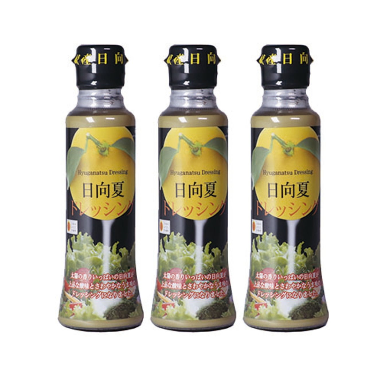 【C142】日向夏ドレッシング　180ml ×　３本　まとめ買い