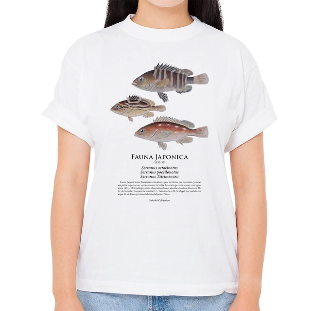 【マハタ・イヤゴハタ・アカハタ】シーボルトコレクション魚譜Tシャツ（高解像・昇華プリント）