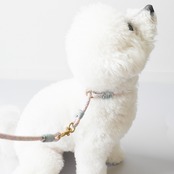 ループフィット カラー│首輪