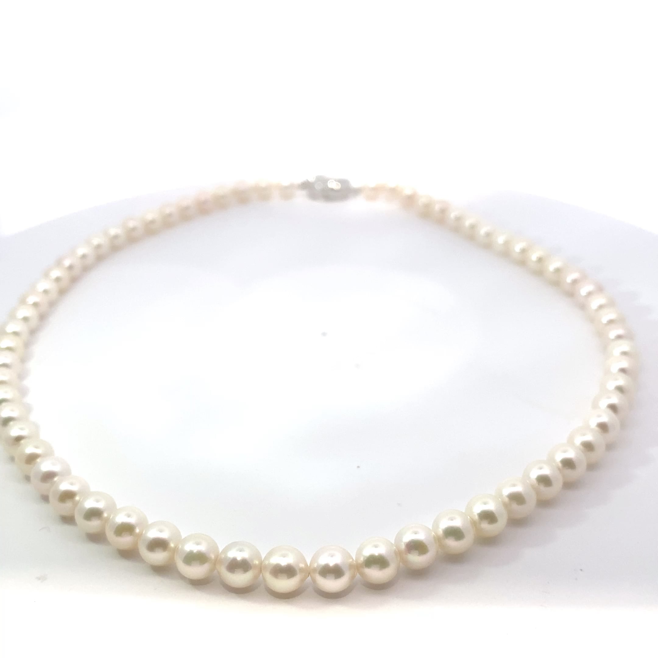 パールネックレス6-6.5 K01285