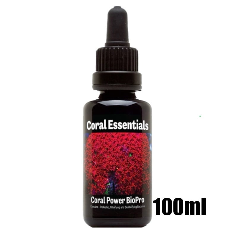 Coral Essentials コーラルエッセンシャル | HOUSE REEF(ハウス