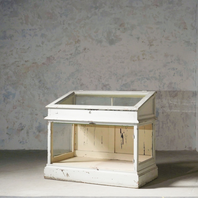 ショーケース/ディスプレイ/アンティーク/空間装飾/フランス家具/1900年代/パイン材/ガラス