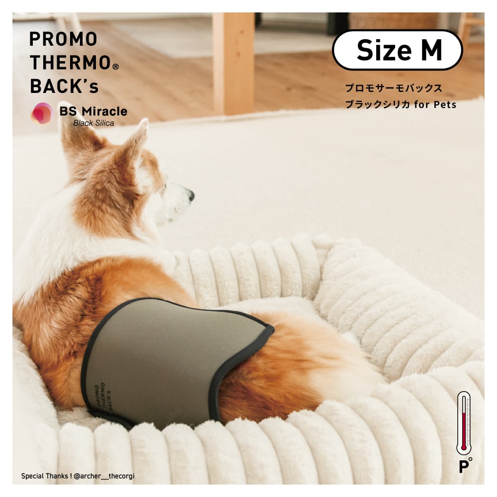 TARAKO様再購入用 PROMO THERMO BACK's プロモサーモバックス ブラックシリカ for ペット
