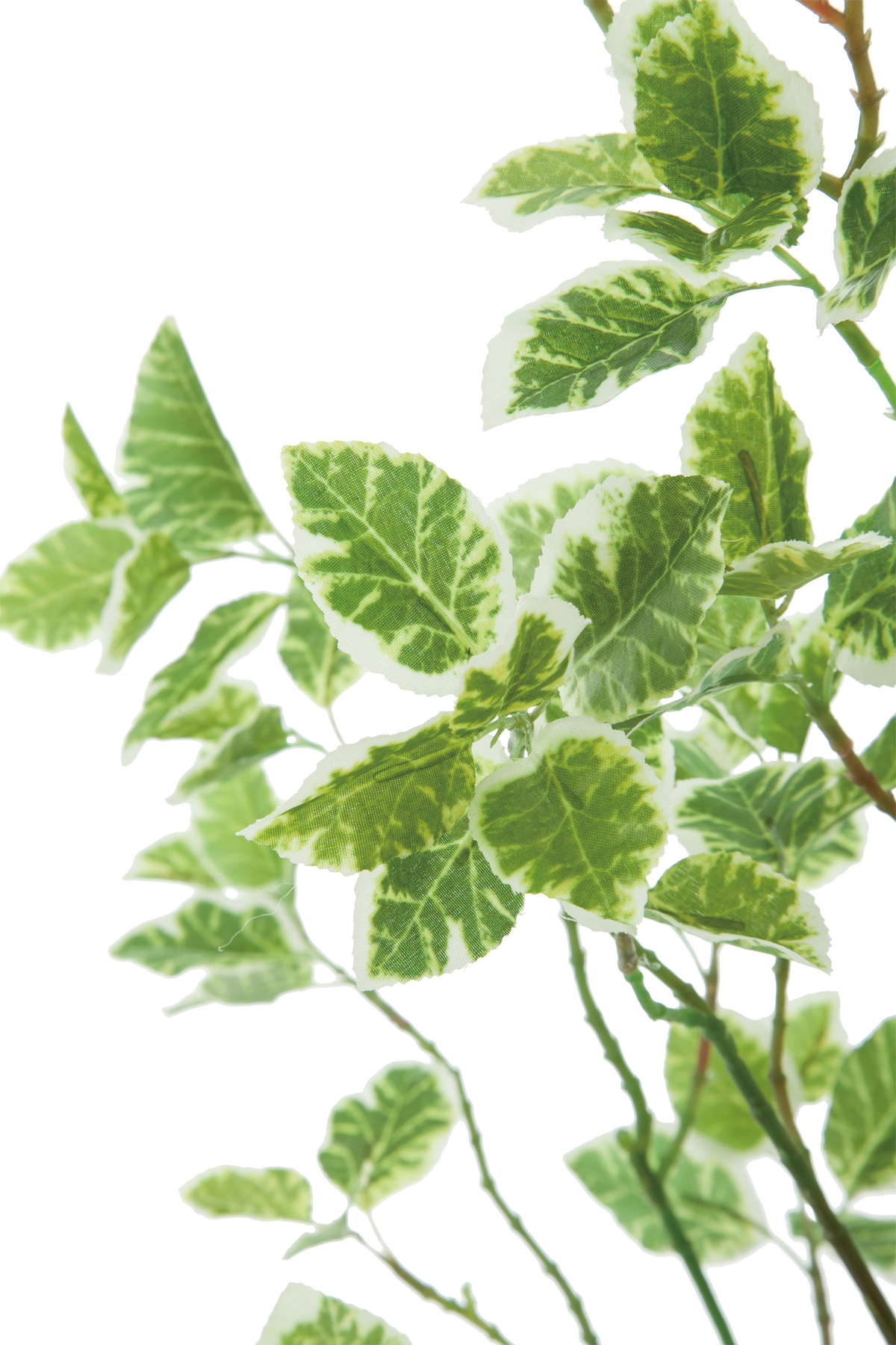 スピンドルツリースプレー　　FG-4997W/G　4961823696305　造花（アーティフィシャルフラワー） > 定番造花グリーン（素材）