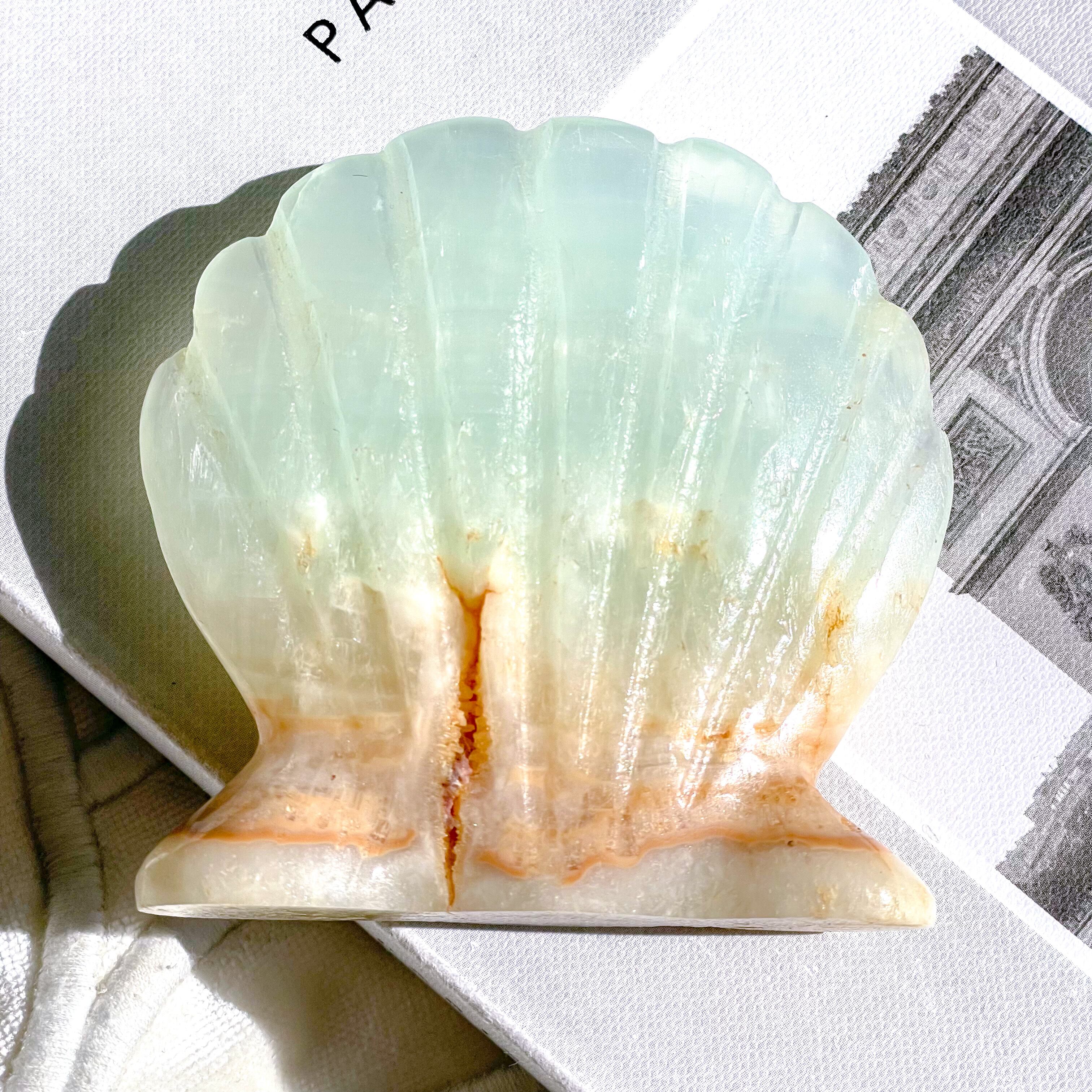 Caribbean Blue Calcite Shell 3 ✧ カリビアンブルーカルサイト