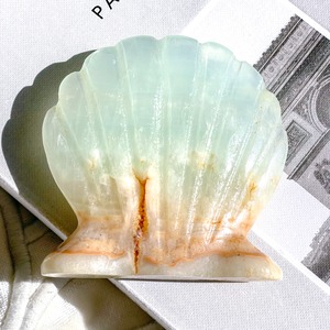 Caribbean Blue Calcite Shell 3 ✧ カリビアンブルーカルサイト