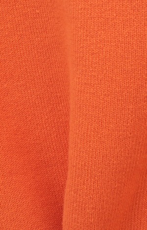 【24SS】CLANE クラネ / V NECK SHORT KNIT TOPS / ニット