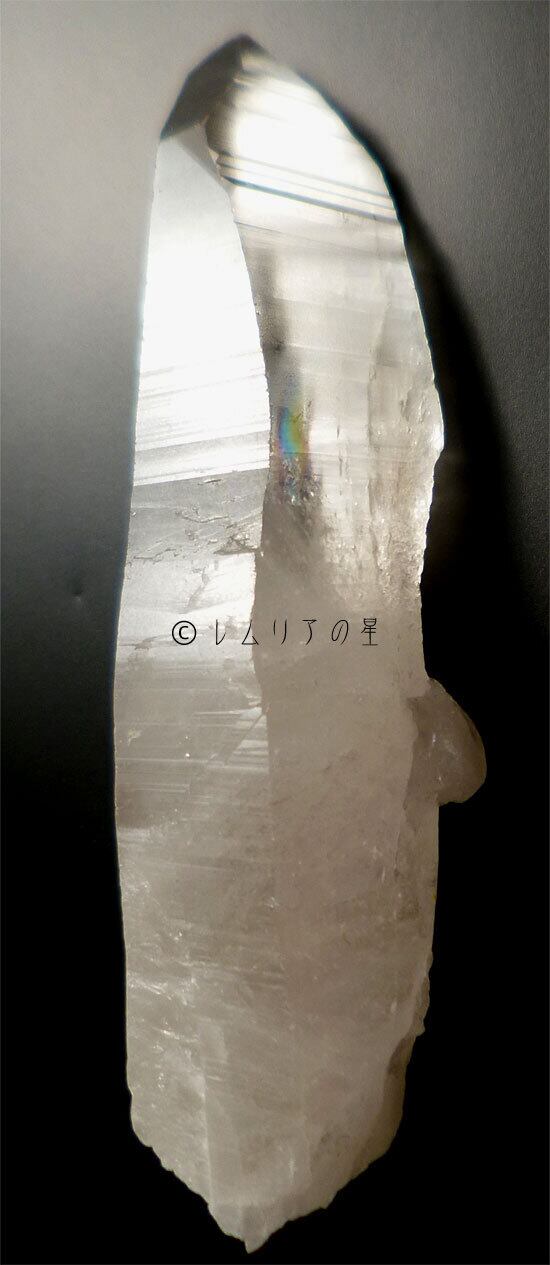 975 レムリアンシード、超レア、レコードキーパー、ステップド