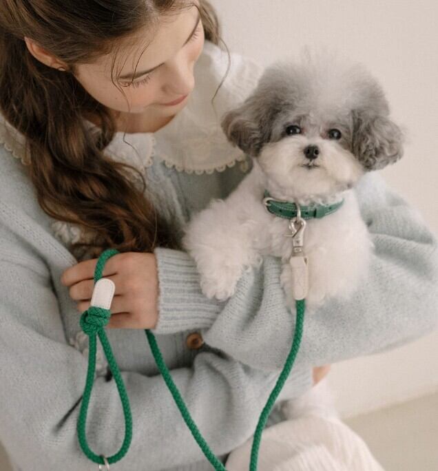 即納【stroll】Leather Collar (ForestGreen)