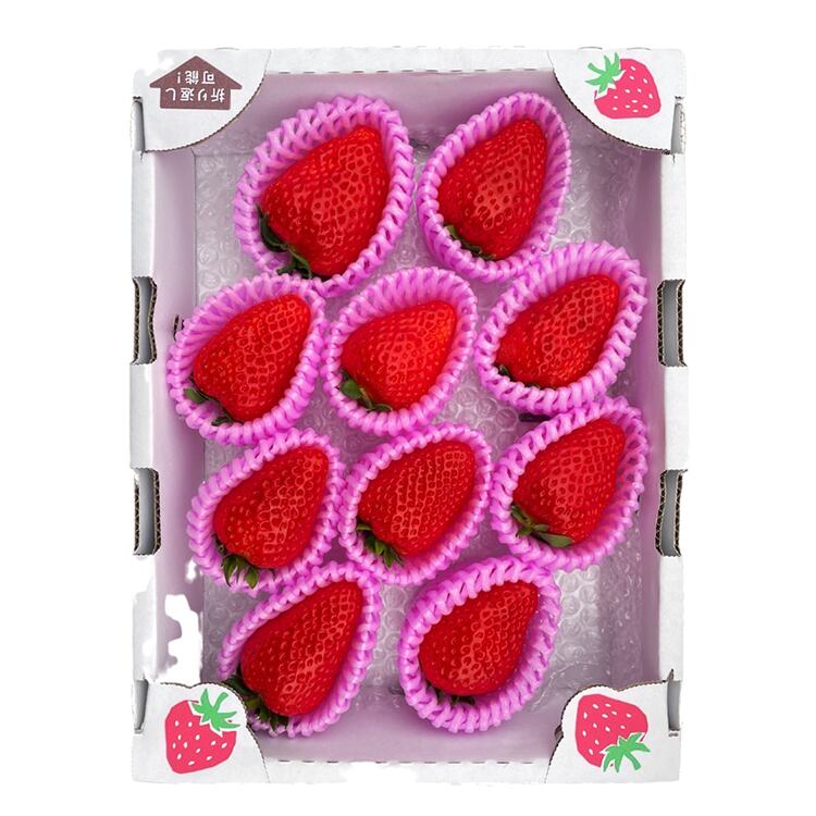 掌に乗る11粒の籠摘み苺 掌に乗る11粒の籠摘み苺 掌に乗る11粒の籠