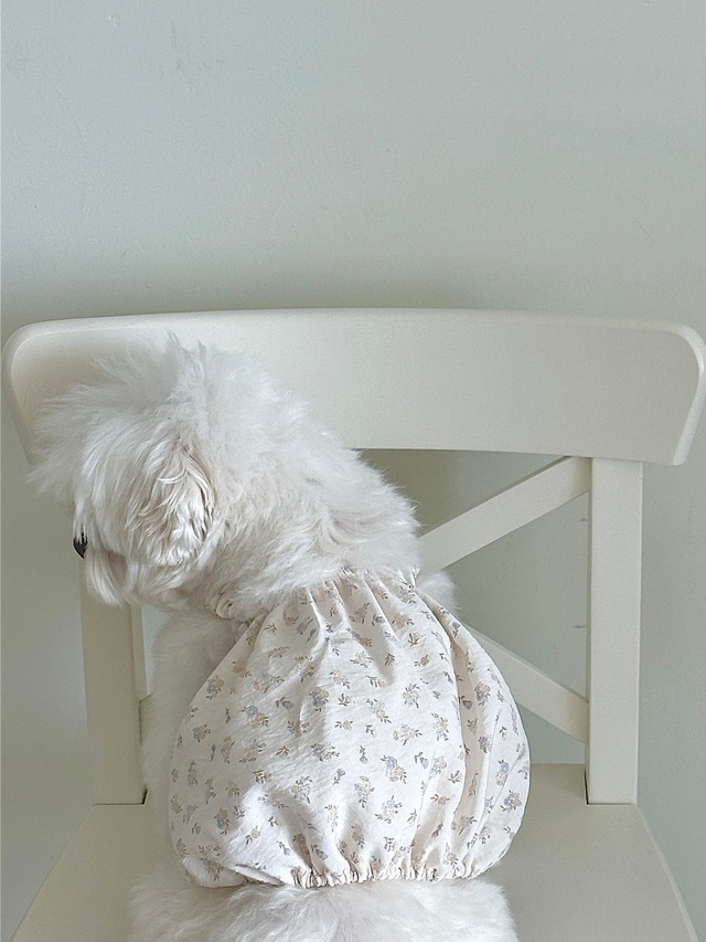 〈予約アイテム〉EYOU / ミルクベイビーバルーン（ミルクフラワー）