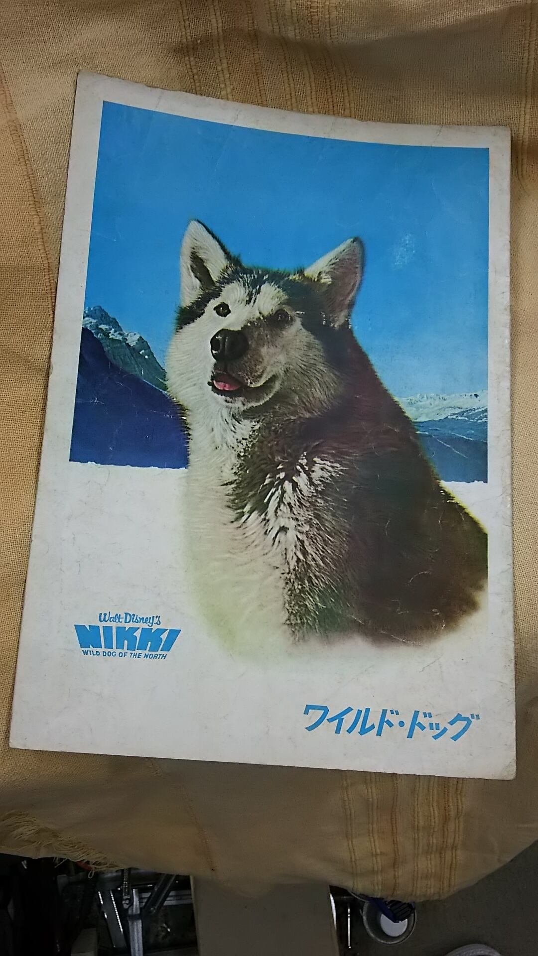 オールド映画パンフ ワイルドドッグ Rmkalimba