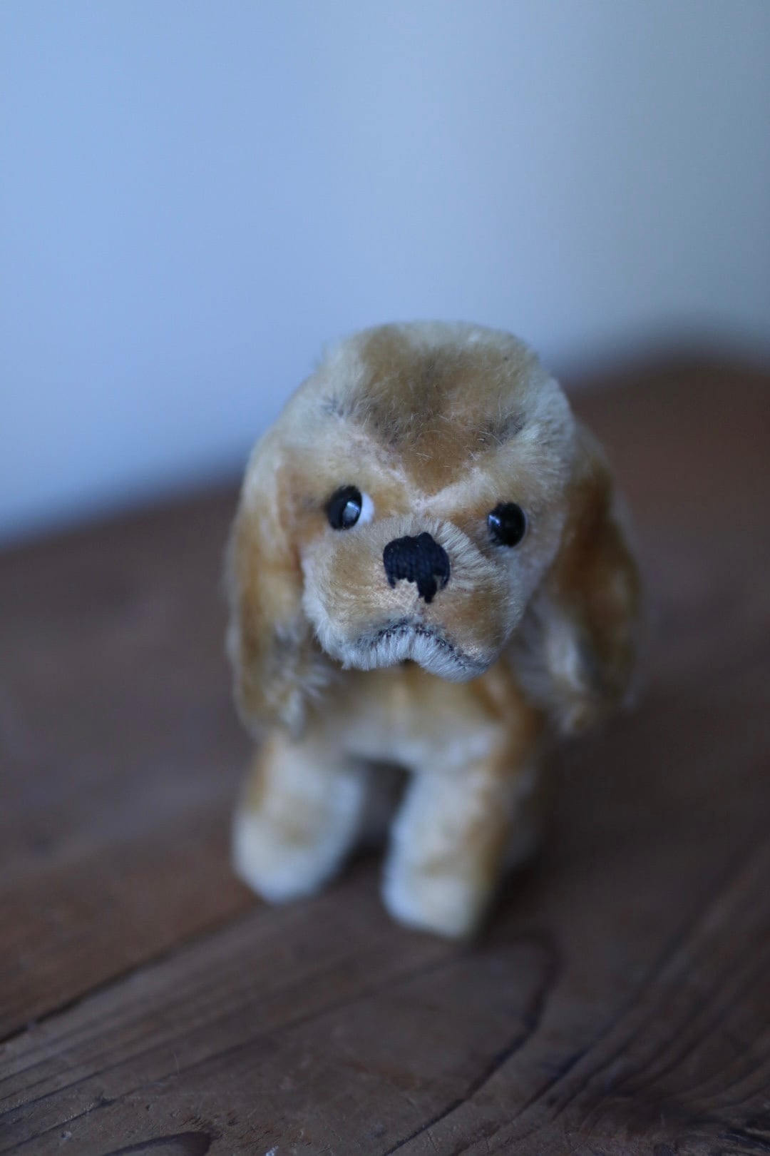 ヴィンテージ シュタイフ 犬 コッカースパニエル Revue Susi 12㎝