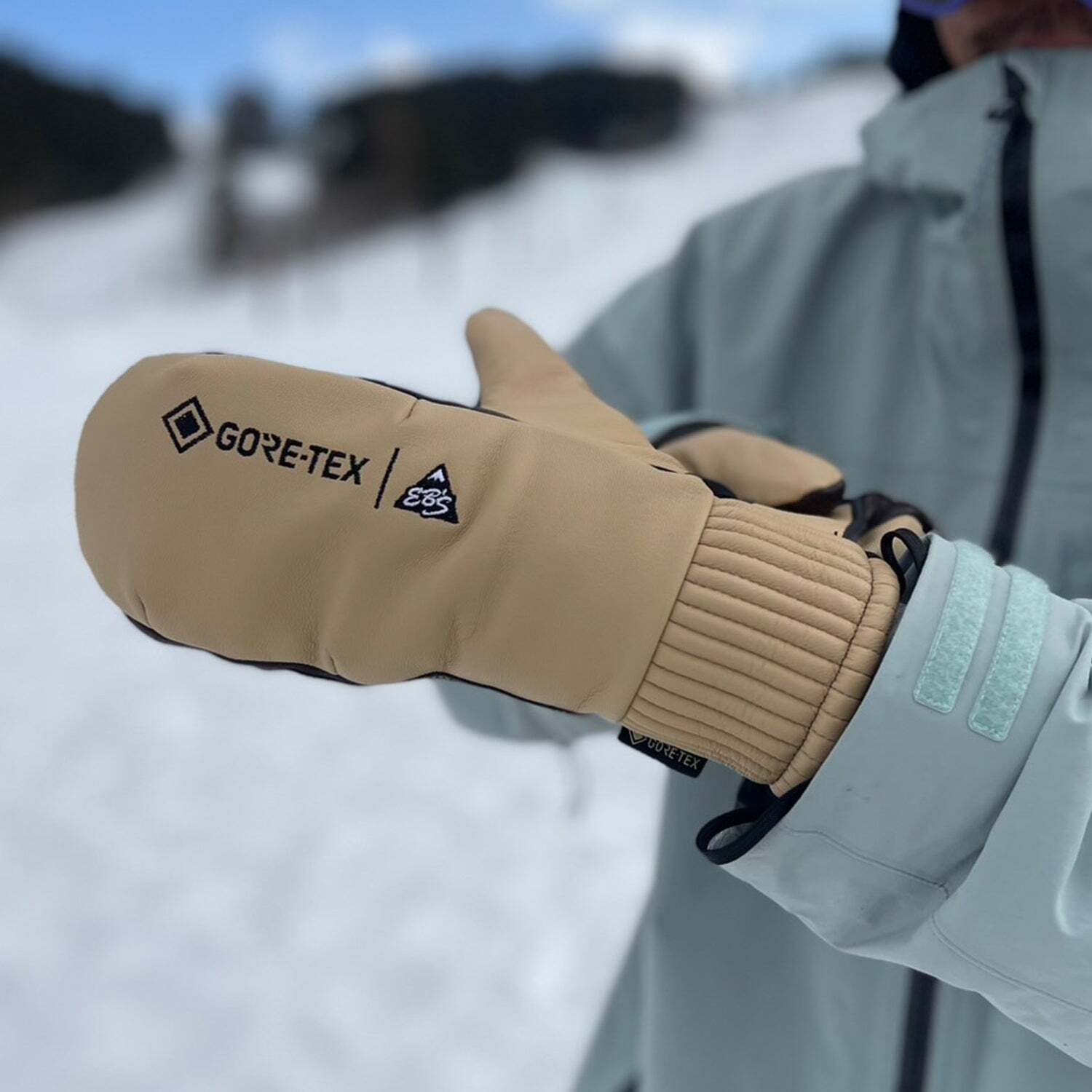 25-26 eb's スノボ 手袋 ゴアテックス CARVING MITT GORE-TEX エビス