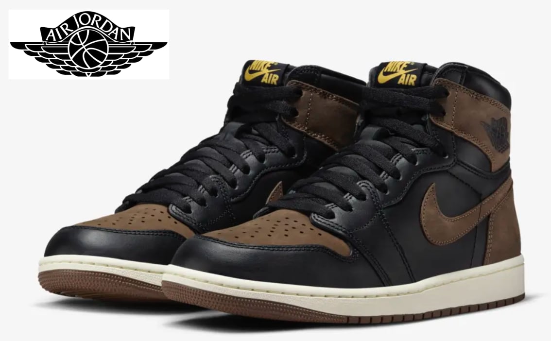 Nike Air Jordan 1 Retro High OG 