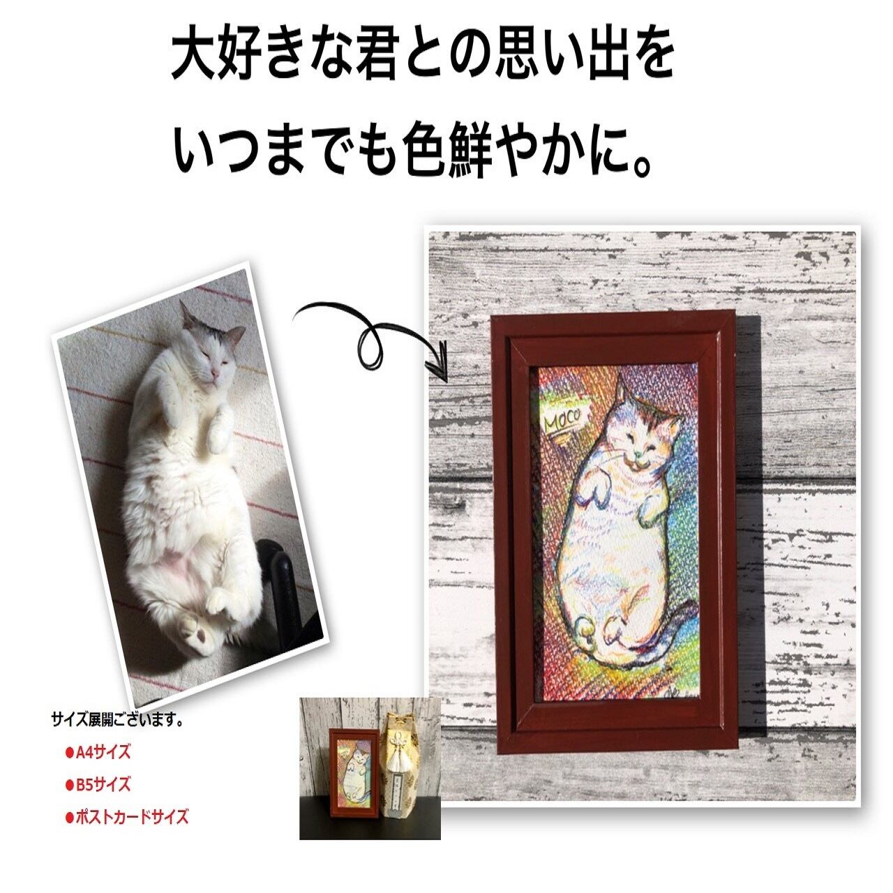 色鉛筆画✭愛猫愛犬✭ペット似顔絵オーダー受付ページです♪ 2