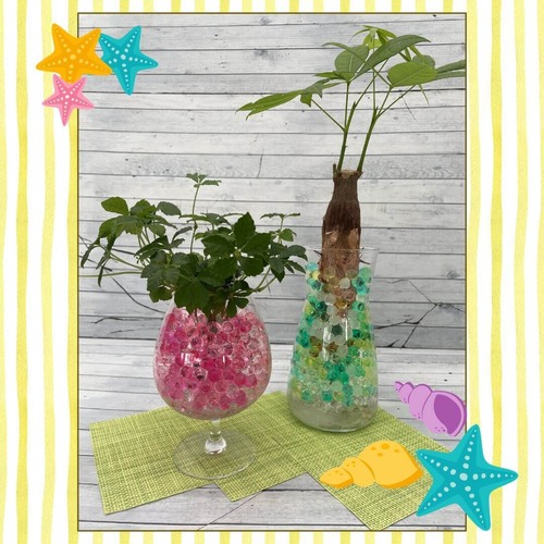 【8月フラワーレッスン】ジェルボールで楽しむ観葉カラフルグリーン(fl2025-08-23)