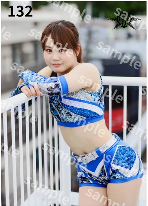 叶ミク ポートレート 各種 134〜137新作