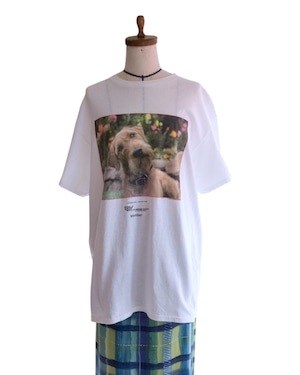 【古着】The Humane Society 犬フォトプリントT