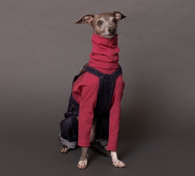 ハイネックタートルロングTシャツ　pink / イタグレ服