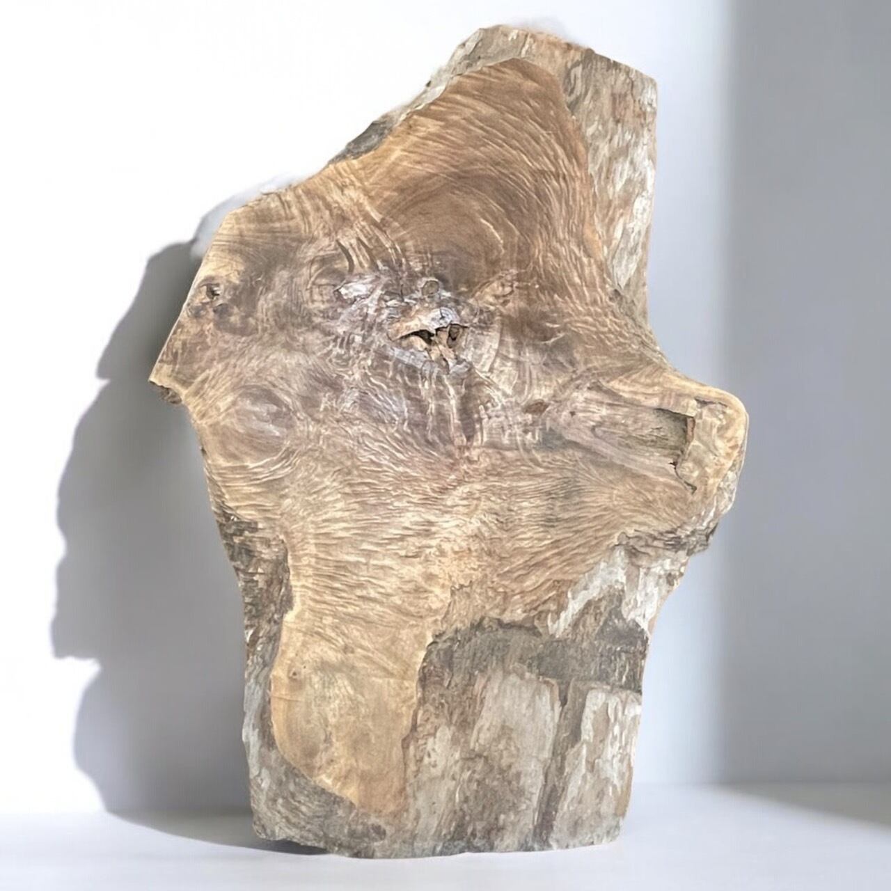 楠 一枚板 テーブル 【サイズ後日!】