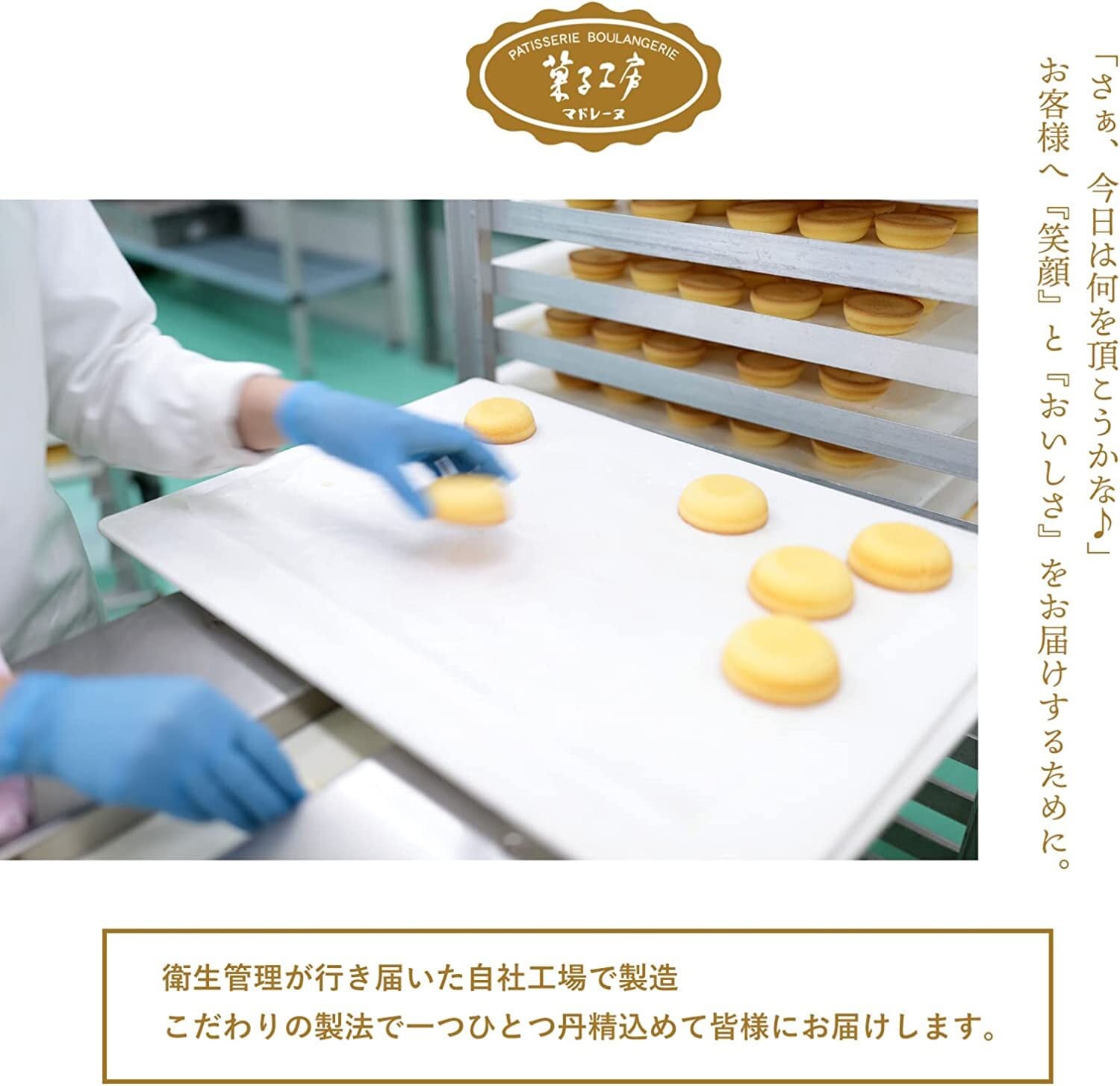 マドレーヌ 10個入り | 菓子工房マドレーヌ