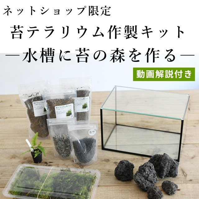 【作製キット】苔の森が作れる　25cm水槽で作る苔テラリウム作製キット◆選べる２タイプ／動画解説付き