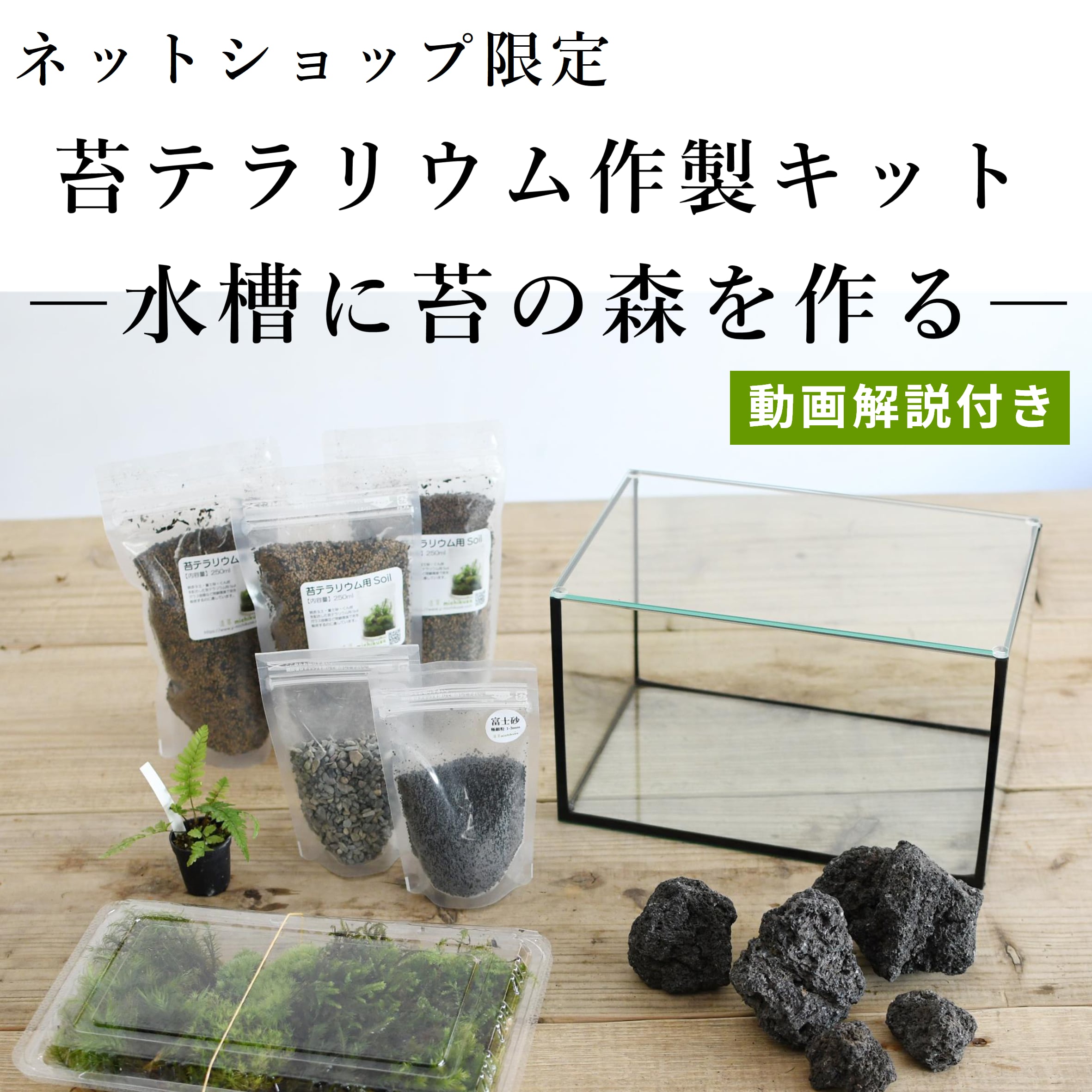 作製キット 苔の森が作れる 25cm水槽で作る苔テラリウム作製キット 選べる２タイプ 動画解説付き 苔テラリウム専門ショップ道草