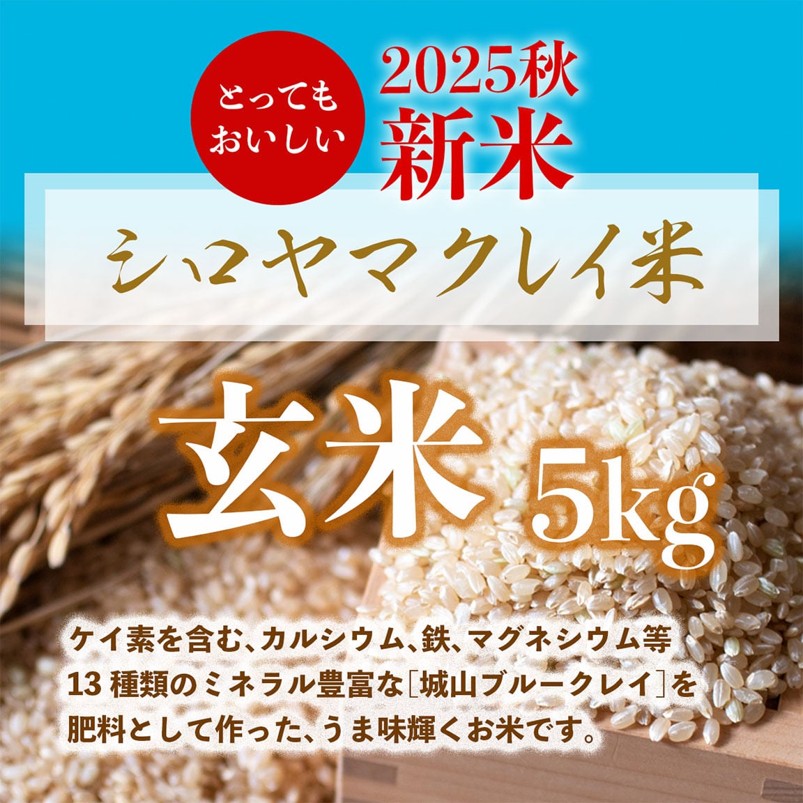 シロヤマクレイ米［玄米5kg］ | NATURE&CLAY 兵庫県産城山ブルークレイ