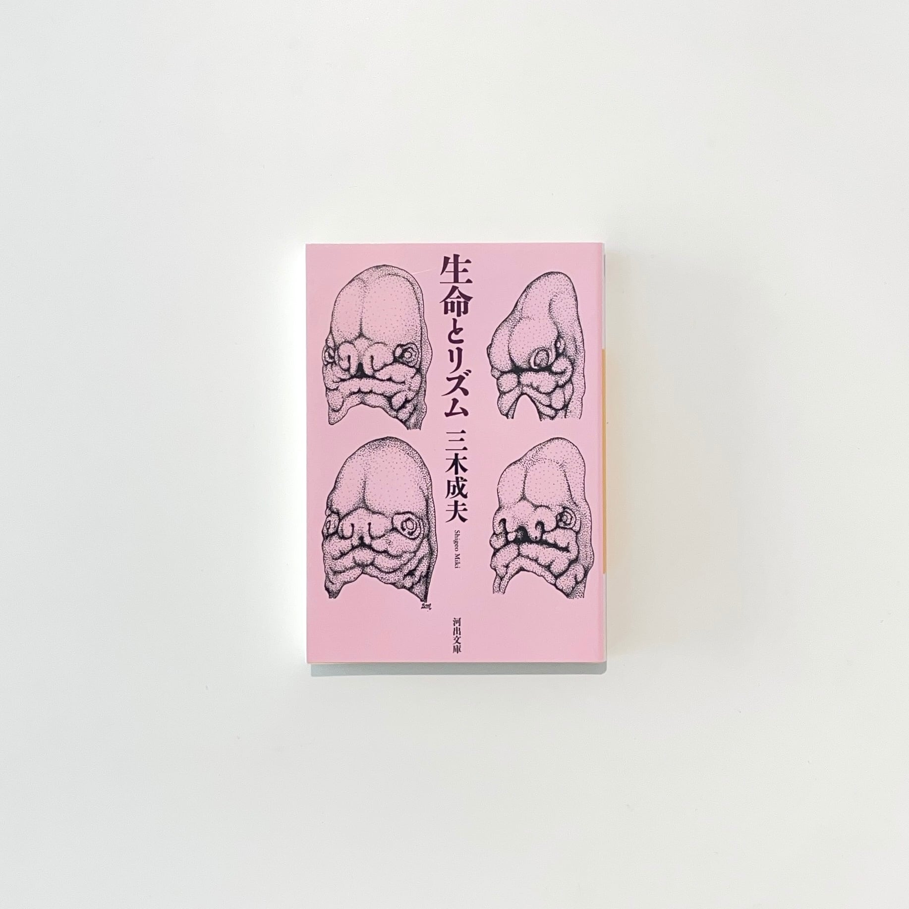 アマゾン短歌の旅 新風舎文庫 酒井祥造 2007年 初版第1刷