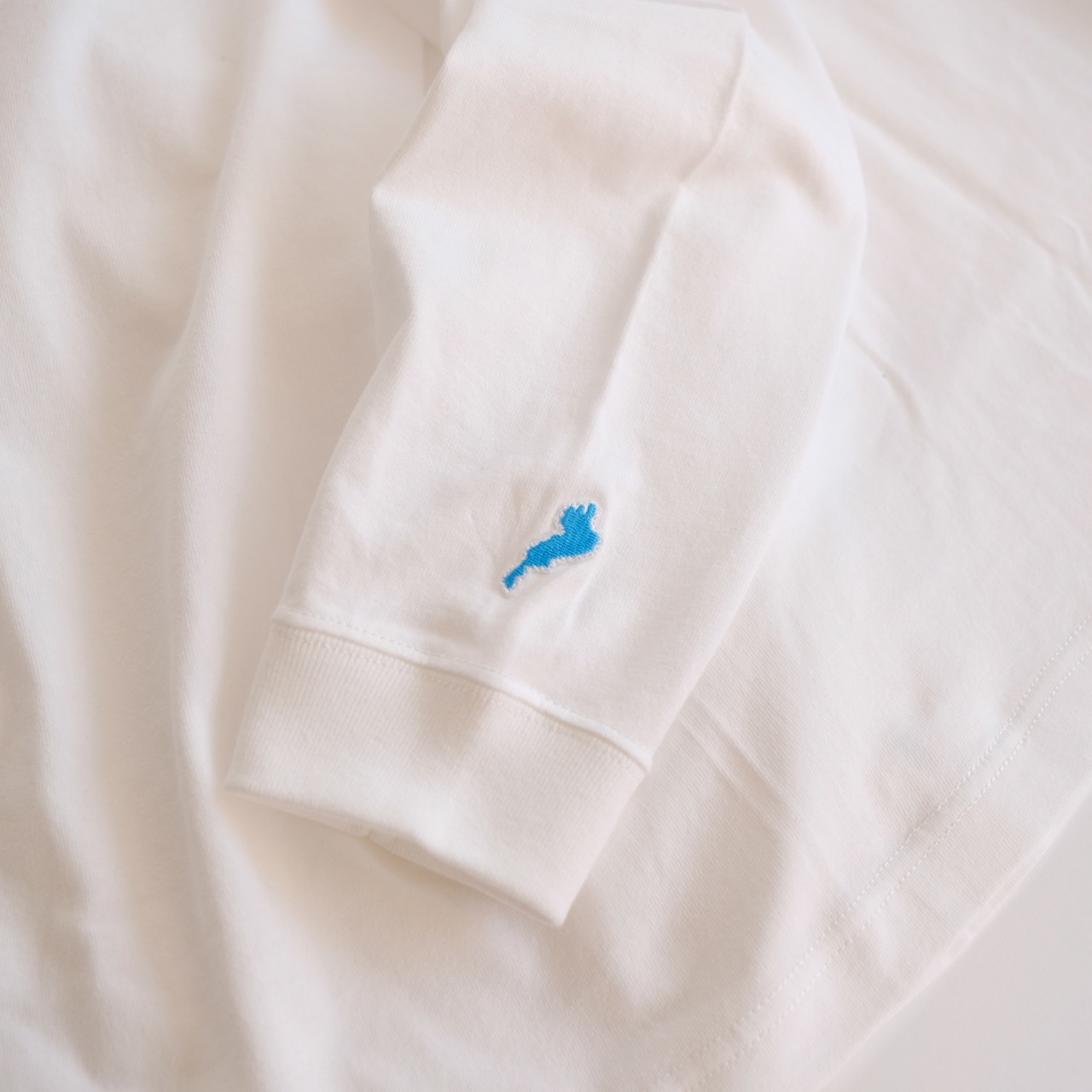 BIWAKO CITY / EMBROIDERY LOGO LONGSLEEVE TEE