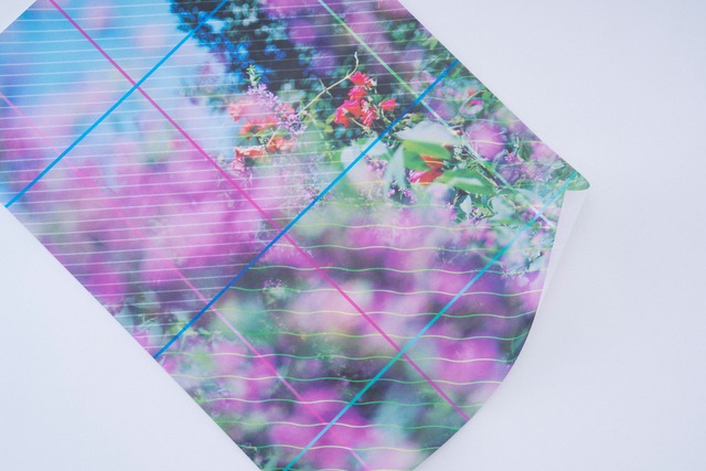 White Pear+ ラッピングペーパー "lavender"（6枚入り）