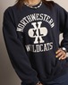 1970's Northwestern / Sweat Shirt