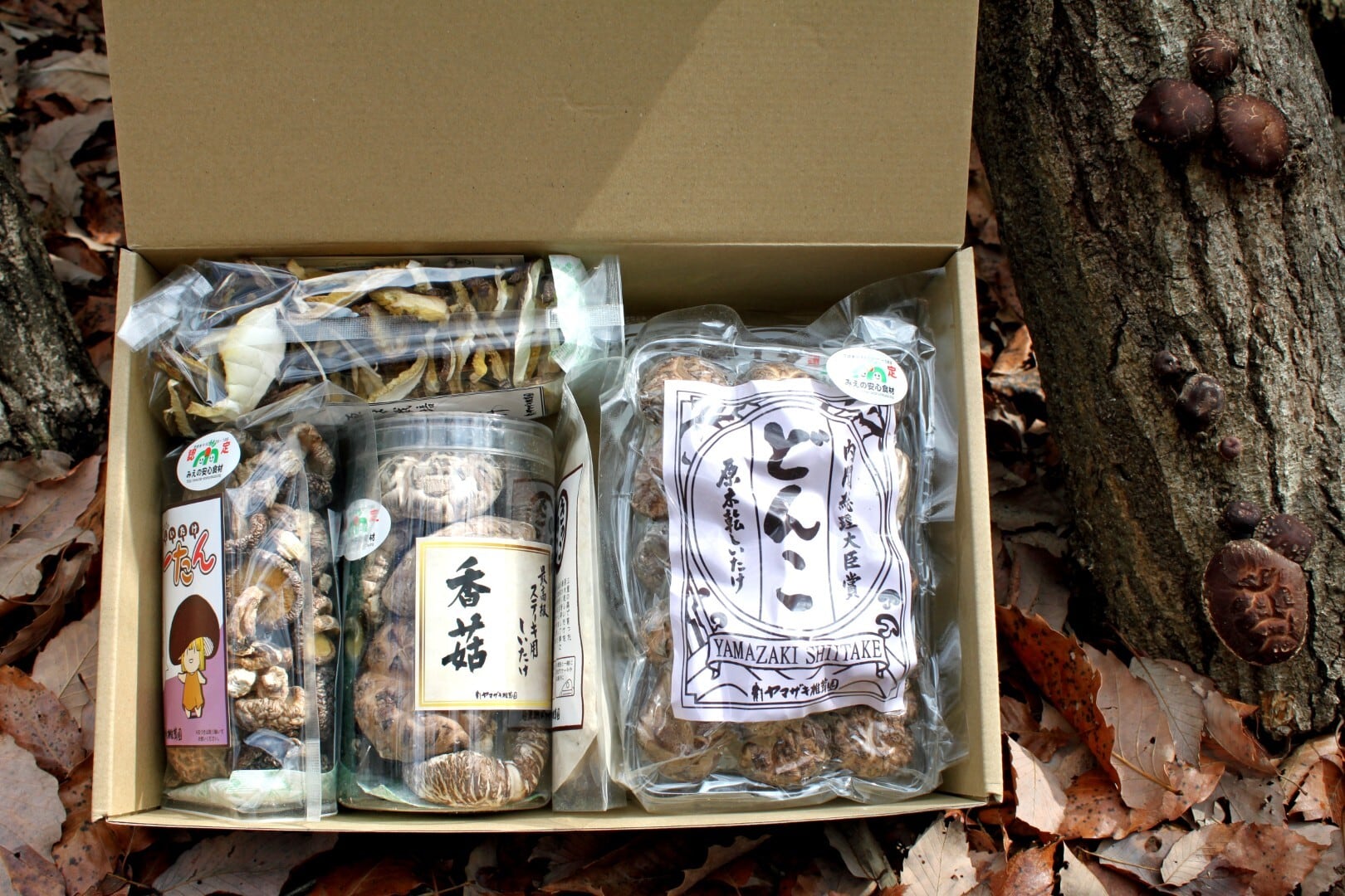 原木乾しいたけ6種セット「伊勢路の森のおくりもの」 | ヤマザキ椎茸園