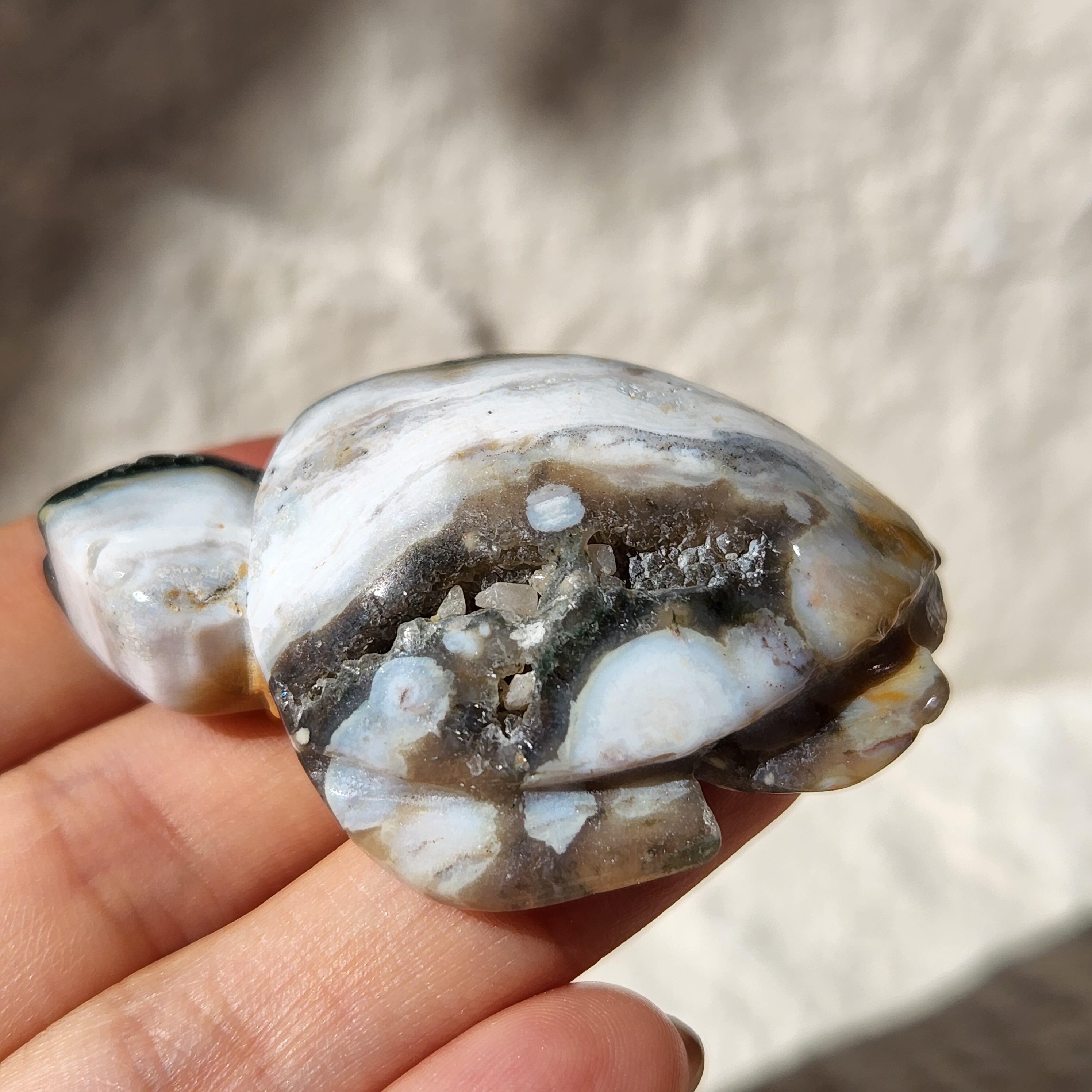 ✴8th Vein High Quality Ocean Jasper Turtle（8th Vein ハイ 