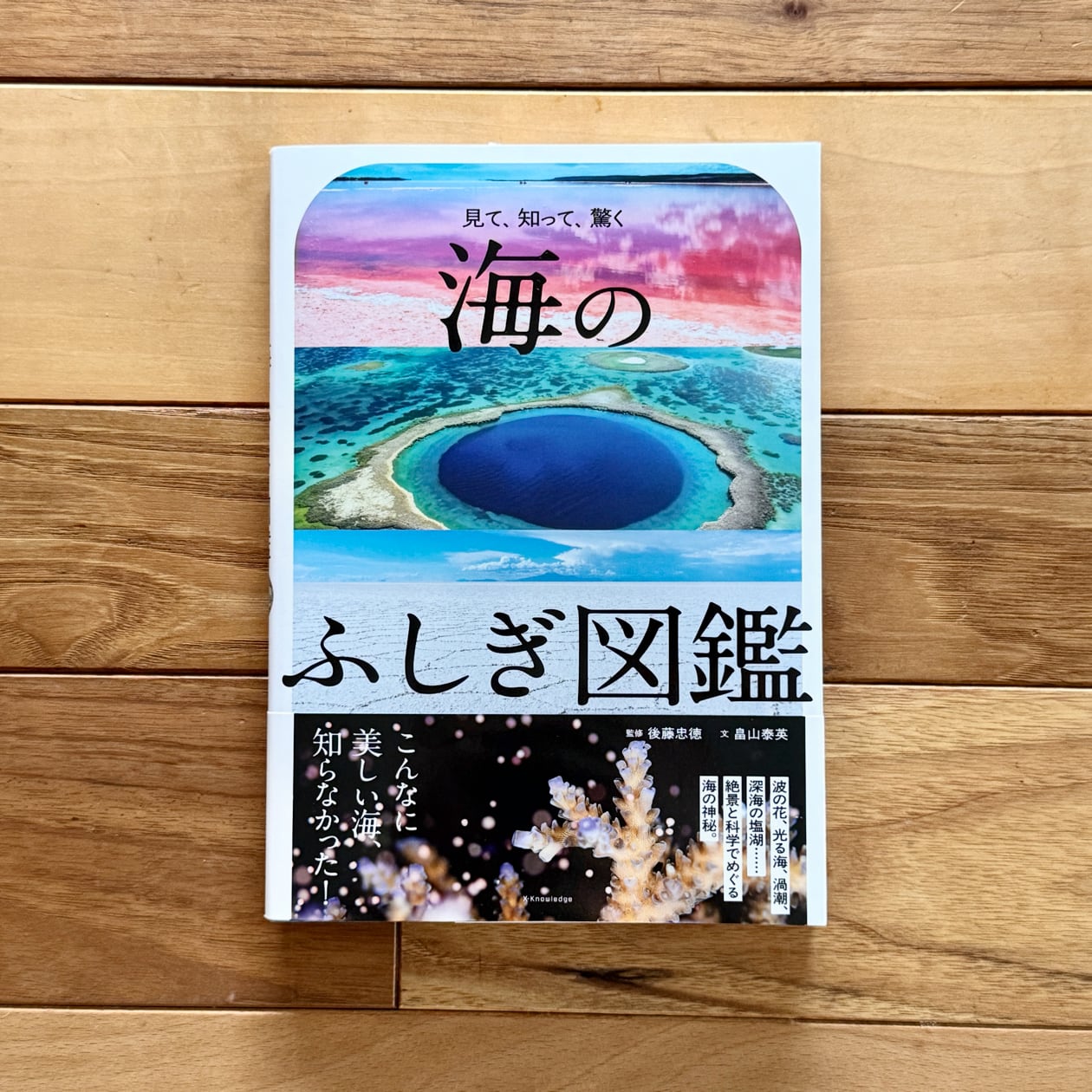 海のふしぎ図鑑 | 後藤 忠徳(監修), 畠山 泰英 | 尾鷲市九鬼町 漁村の