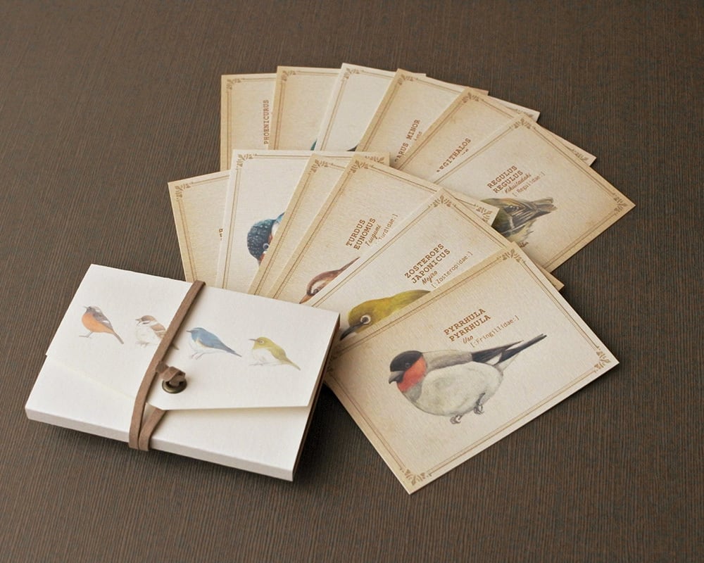 図鑑風メッセージカード【ケース付】〔野鳥〕 | mocolier〔もこリエ