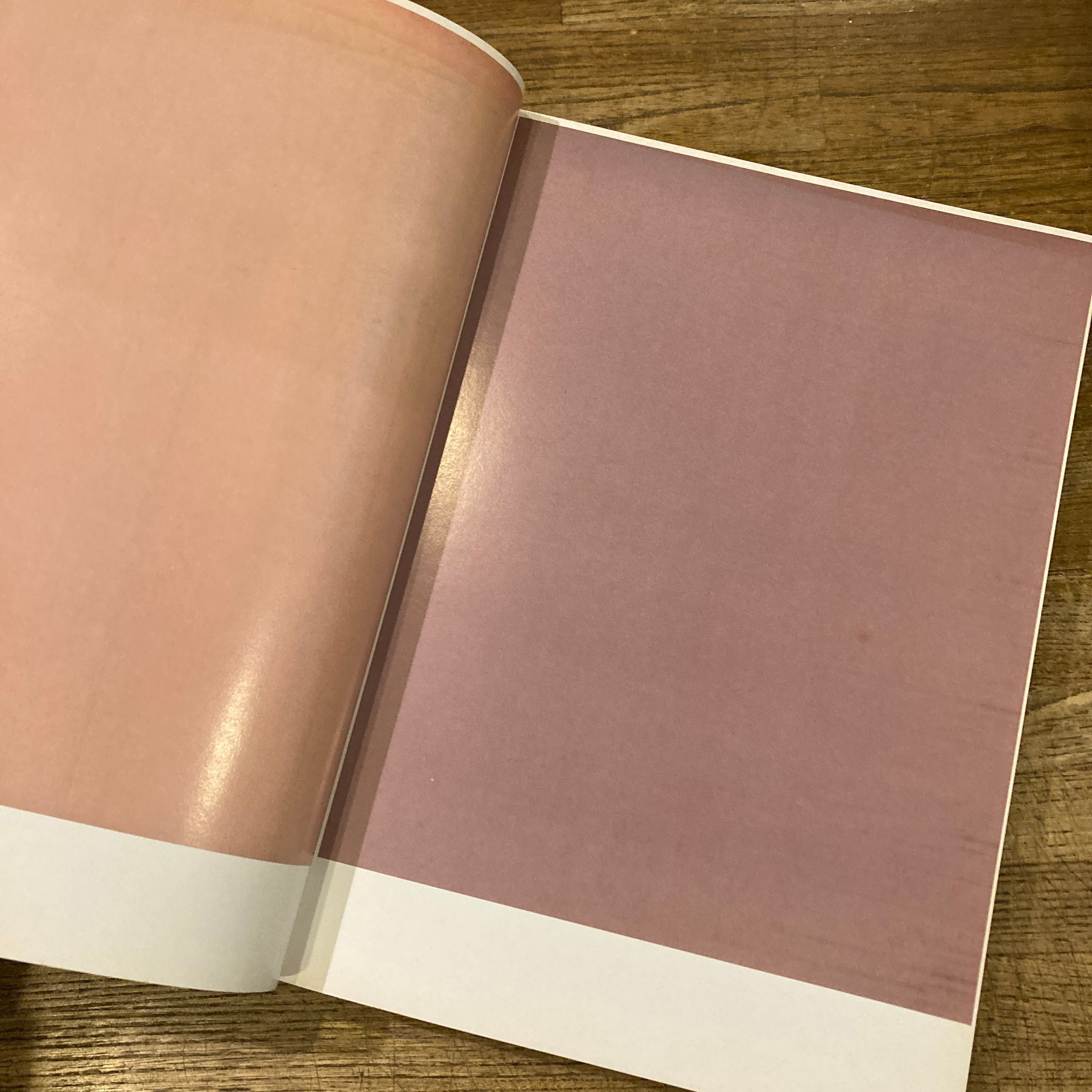 Manual / Wolfgang Tillmans | 百年