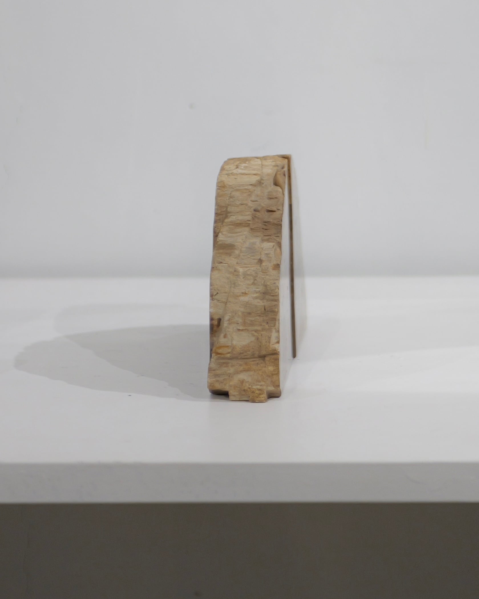 OAK Petrified Wood - Book End #001 ：Natural｜珪化木／一点もの